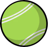Tennis ball